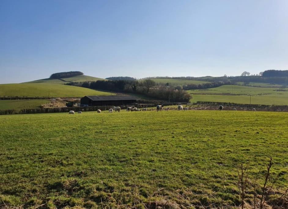 Strathken Cottage Castle Douglas Esterno foto